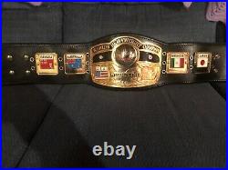 Real NWA Heavyweight Championship Wrestling Belt by Dave Millican