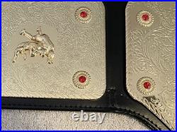 Ric Flair Autographed / Signed Wcw / Wwe Big Gold Championship Belt Schwartz