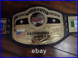 Ric Flair Signed Autograph Wcw Nwa World Heavyweight Championship Wrestling Belt