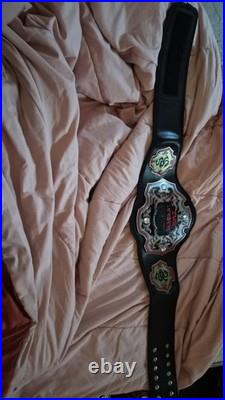 Ring Used Custom Championship Belt Wrestling Belt