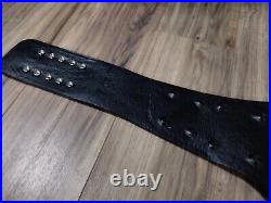 SWE Southwest Wrestling Entertainment Heavyweight Championship Wrestling Belt