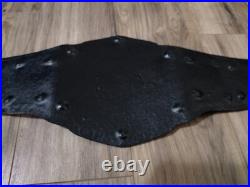 SWE Southwest Wrestling Entertainment Heavyweight Championship Wrestling Belt