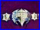 TNA_Jeff_Hardy_Wrestling_Championship_Belt_Adult_Size_Replica_2mm_Brass_Plates_01_mls