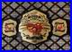 TNA_WORLD_Heavyweight_Wrestling_Champion_2MM_On_Leather_Replica_Title_Belt_01_fn