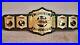 TNA_World_Tag_Team_Wrestling_championship_belt_Adult_size_belt_01_xt