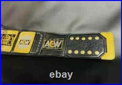 TNT Championship Replica Wrestling Belt Pro Wrestling belt fans TNT Championship Replica Wrestling Belt Pro Wrestling belt fans