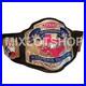TOP_Texas_Heavyweight_Wrestling_Championship_Title_Belt_01_bv
