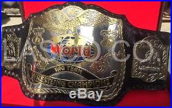 Tag Team World Wrestling Championship Title Belt Dual plated