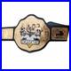 The_Four_Horsemen_Wrestling_Championship_Belt_4mm_Adult_Size_01_nhq