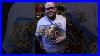 Tna_International_Made_By_Great_Custom_Belts_Review_Tna_Tnawrestling_01_wh