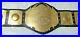 Tna_world_heavyweight_wrestling_championship_Belt_Replica_Adult_Size_01_si