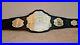 UFC_Ultimate_Fighting_Championship_Belt_Dual_plated_adult_size_01_bmjx