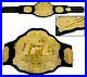 UFC_Ultimate_Fighting_Championship_Wrestling_Belt_Replica_Adult_Size_01_qmks