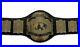 Undisputed_Heavyweight_Wrestling_Title_Replica_Championship_Belt_4mm_Plates_01_ifp