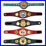 WBC_IBF_IBO_WBO_WBA_Set_of_All_boxing_Championship_Title_Belts_Adult_Size_3D_01_ne