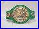 WBC_WORLD_Boxing_Council_Championship_Replica_Belt_Adult_Size_01_ajn
