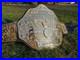 WCW_Big_Gold_Heavyweight_Championship_Title_Belt_Replica_Adult_Size_Brass_Plates_01_cqca