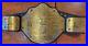 WCW_Ric_Flair_Heavyweight_Championship_Figures_Toy_Co_Replica_Belt_Adult_Size_01_use