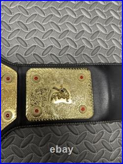 WCW World Heavyweight Championship Replica WWE /WWF BIG GOLD NASH NWO Hogan WCW World Heavyweight Championship Replica WWE /WWF BIG GOLD NASH NWO Hogan