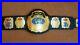 WCW_World_Tag_Team_Wrestling_Championship_Belt_Adult_size_01_am