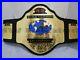 WCW_World_Television_Wrestling_championship_Belt_Adult_Size_2mm_Plates_01_fol