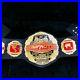 WORLD_IMPACT_Heavyweight_Wrestling_Championship_Belt_Adult_Size_Title_Replica_01_bnbx
