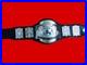 WORLD_UNIFIED_Heavyweight_Wrestling_Championship_belt_2MM_01_xyqz
