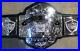 WRESTLING_CHAMPIONSHIP_USA_BELT_WWE_TNA_ECW_ROH_WCW_New_01_alnp