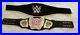 WWE_Authentic_Official_Divas_Championship_Replica_Title_Belt_w_Carrying_Bag_01_utm