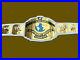 WWE_Intercontinental_Heavyweight_Wrestling_Championship_Belt_Adult_Size_Replica_01_wg