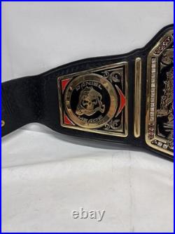 WWE NXT United Kingdom Championship Daniel Meade