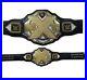 WWE_NXT_Wrestling_Championship_Belt_Replica_2mm_plates_Adult_Size_01_ygov