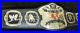 WWE_Tag_Team_Champions_Belts_Adult_Size_Replica_DHL_FAST_SHIPPING_01_yqvs
