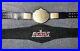 WWE_WWF_WCW_Official_Replica_World_Heavyweight_Championship_Big_Gold_Belt_01_wgvn