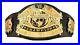 WWE_World_Entertainment_Championship_Wrestling_Replica_Title_Belt_100_Geniune_01_np