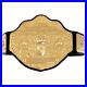 WWE_World_Heavyweight_Championship_Wrestling_Title_Belt_Adult_Size_01_jb