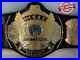 WWF_Classic_Winged_Eagle_Championship_Title_Belt_Replica_Dual_Plated_Adult_size_01_akuv