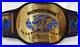 WWF_Intercontinental_Championship_OLD_Wrestling_Replica_Title_Belt_Adult_Size_01_vs