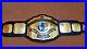 WWF_Intercontinental_Heavyweight_Wrestling_Championship_Belt_Adult_Size_01_bfkd