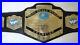 WWF_Light_Heavyweight_Championship_belt_ADULT_SIZE_01_ndg