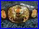 WWF_STONE_COLD_SMOKING_SKULL_Championship_Leather_Belt_Replica_Metal_Plated_01_ulat