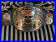 WWF_Smoking_Skull_Stone_Cold_Wrestling_Championship_Title_Belt_SNAKE_SKIN_BACK_01_wyec