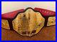 WWF_WWE_Classic_BIG_Gold_Championship_Belt_Adult_Size_01_sopv