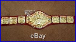 WWWF Bruno Sammartino / Bob Backlund Heavyweight Wrestling Championship Belt