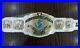 WWe_Intercontinental_wrestling_Championship_replica_belt_adult_metal_plates_01_yn