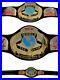 Wcw_Adult_World_Tag_Team_Championship_Replica_Belt_Figs_Inc_Very_Rare_1999_Wwe_01_wb