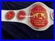 World_Class_Heavyweight_Wrestling_Championship_Belt_Zinc_Metal_Plates_01_gcud