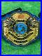 World_Heavyweight_Wrestling_Championship_Belt_Adult_Size_Replica_01_pp
