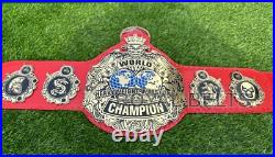 World Heavyweight Wrestling Championship Title Belt Adult Size Brass Plated