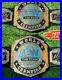 World_Tag_Team_Wrestling_Championship_Belt_Adult_Size_2mm_Brass_Plates_NEW_01_cur